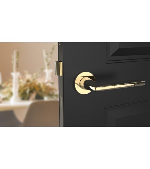Poignée de porte or poli LUNA poignée design