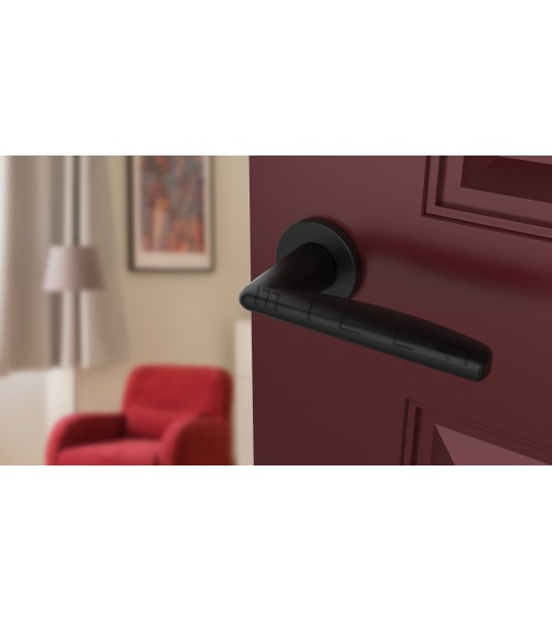 Poignée de porte noire LUNA poignée design