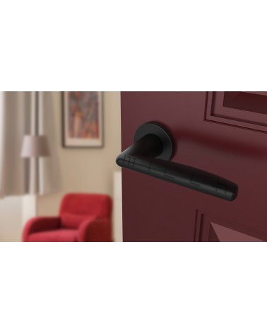 Poignée de porte noire LUNA poignée design vue inclinée montée sur une porte