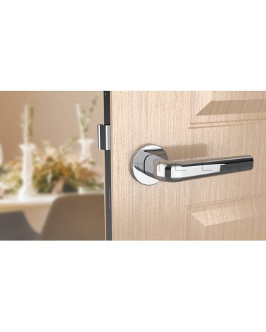 Poignée de porte Classique INULLA poignée design vue de face montée sur une porte