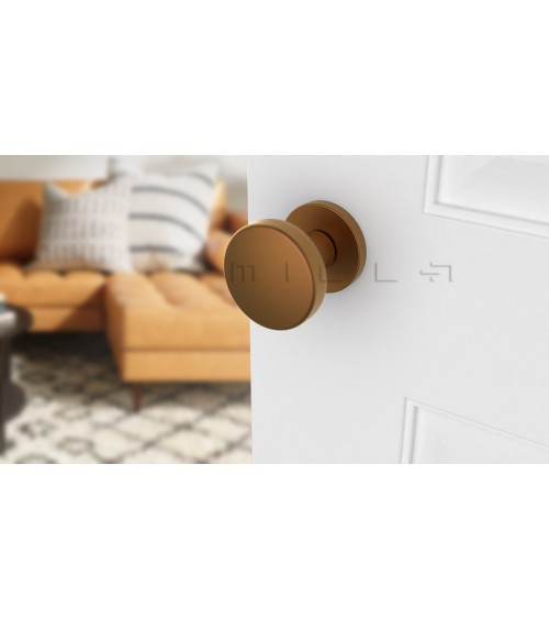 Bouton de porte noir MESA Rond mobile -  poignée design