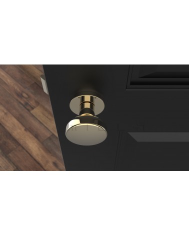Bouton de porte Or mat MESA Rond mobile