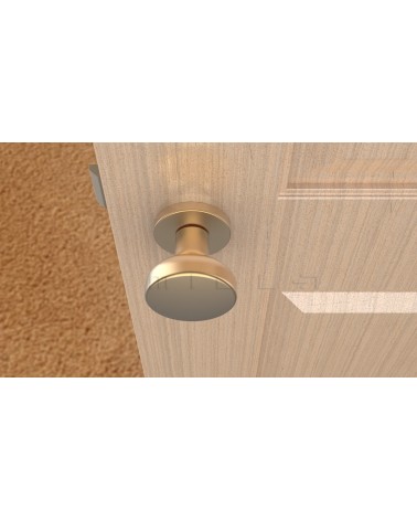 Bouton de porte Or mat MESA Rond mobile