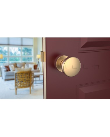 Bouton de porte Or mat MESA Rond mobile