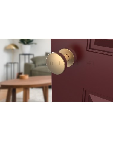Bouton de porte Or mat MESA Rond mobile
