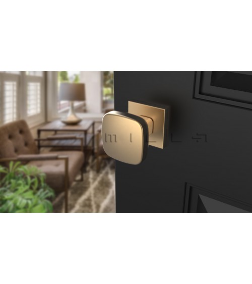Bouton de porte noire KIAMA carré -  poignée design