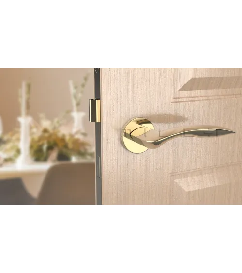 Poignée de porte chrome satiné ROBINE quincaillerie design
