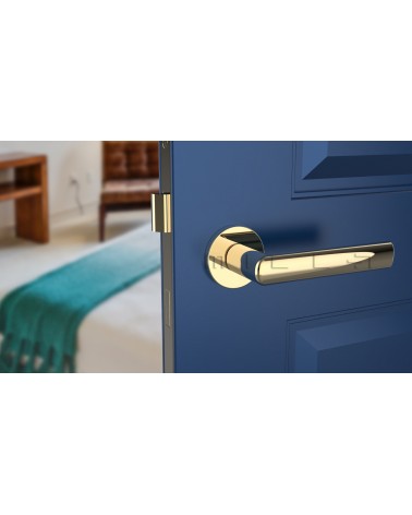 Poignée de porte moderne SILENA poignée design couleur 3 vue de haut montée sur une porte