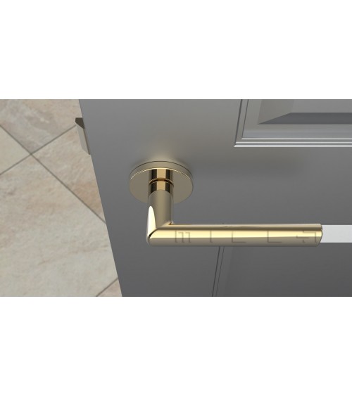 Poignée de porte or poli SILENA quincaillerie design