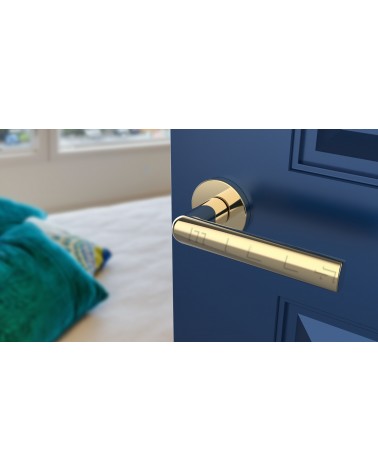 Poignée de porte moderne SILENA poignée design couleur 3 vue de face montée sur une porte