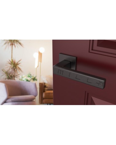Poignée de porte TILLIA porte intérieure design couleur 2 vue inclinée montée sur une porte