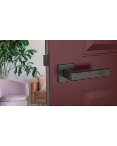 Poignée de porte TILLIA porte intérieure design couleur 2 vue de face montée sur une porte