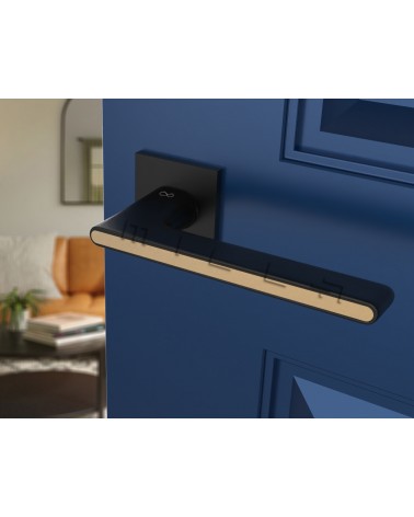 Poignée de Porte Bicolore Noire et doré Ferrara carré