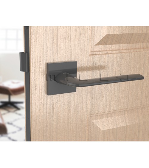 Poignée de porte titane STINGER poignée design
