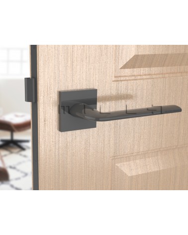 Poignée de porte titane STINGER poignée design vue de face montée sur une porte