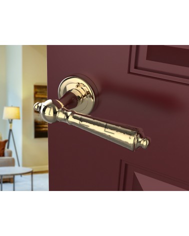 Poignée de porte au style rétro MILLENAIRE poignée design vue inclinée montée sur une porte