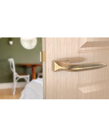 Poignée de porte sur plaque rectangulaire GLADIOLA poignée design couleur 4 vue de face montée sur une porte