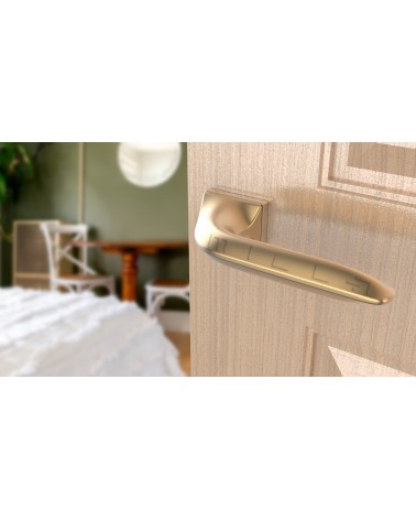 Poignée de porte sur plaque rectangulaire GLADIOLA poignée design couleur 4 vue de haut inclinée montée sur une porte