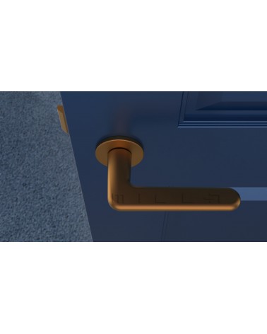 Poignée de porte sur plaque ronde LIRA poignée design couleur 4 vue de haut montée sur une porte