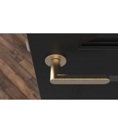 Poignée de porte ALORA poignée design couleur 1
