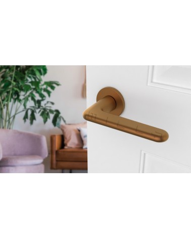 Poignée de porte en zamak LIRA poignée design couleur 4 vue de haut inclinée montée sur une porte