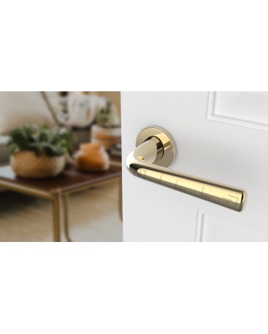 Poignée de porte en zamak TULIPA poignée design couleur 2 vue de haut inclinée montée sur une porte
