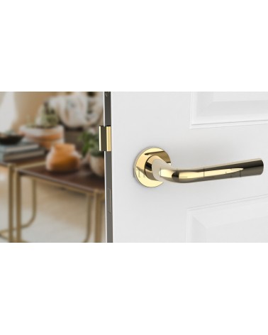 Poignée de porte en zamak TULIPA poignée design couleur 2 vue de face montée sur une porte