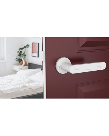 Poignée de porte en zamak ALORA poignée design couleur 5 vue de face montée sur une porte