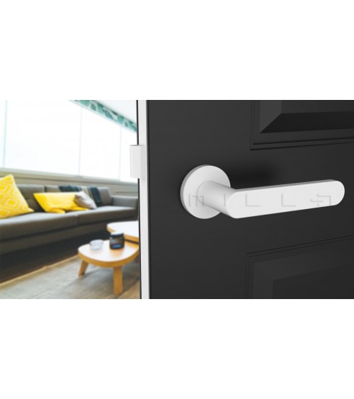 Poignée de porte en zamak ALORA poignée design couleur 5