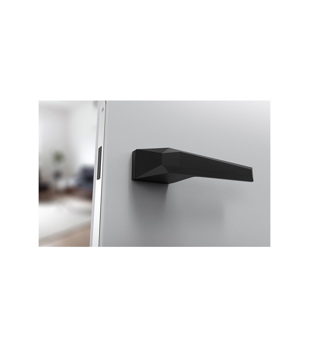 poignée d'intérieur noire design sur plaque rectangulaire
