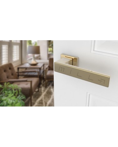 Poignée de porte matière zamak PINA poignée design vue de haut inclinée montée sur une porte
