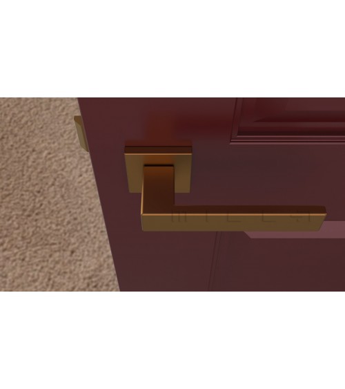 Poignée de porte en zamak PINA poignée design