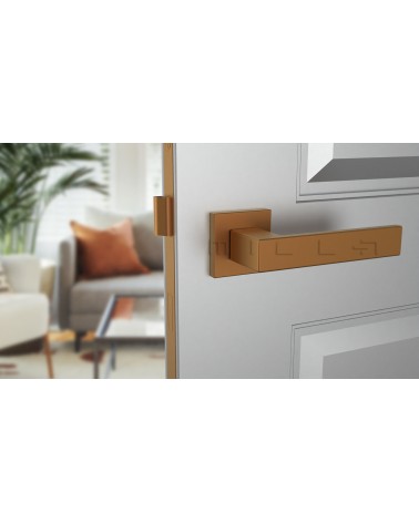 Poignée de porte en zamak PINA poignée design vue de face montée sur une porte
