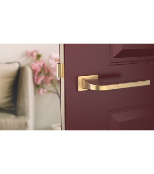 Poignée de porte sur plaque rectangulaire ISMENA poignée design