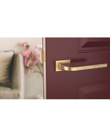 Poignée de porte sur plaque rectangulaire ISMENA poignée design vue de face montée sur une porte