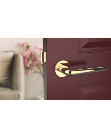 Poignée de porte ronde FUNKIA poignée design couleur 1 vue de face montée sur une porte