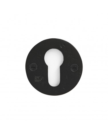 Rosace de porte R PURE clé PZ-50F -  poignée design