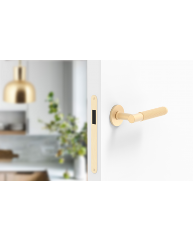 Poignée de porte or satiné Time Slim poignée design montée sur une porte entrouverte