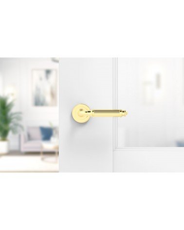 Poignée de porte or poli ARIA Slim poignée design montée sur une porte