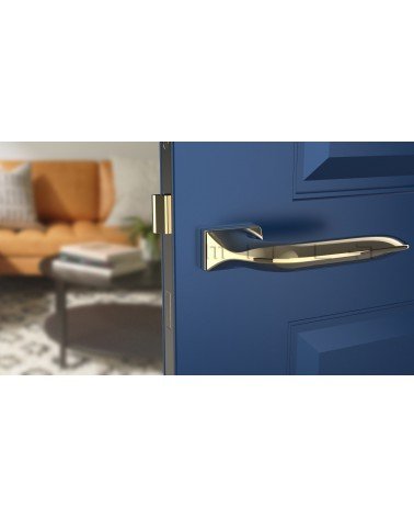 Poignée de porte GLADIOLA poignée design couleur 3 vue de face montée sur une porte