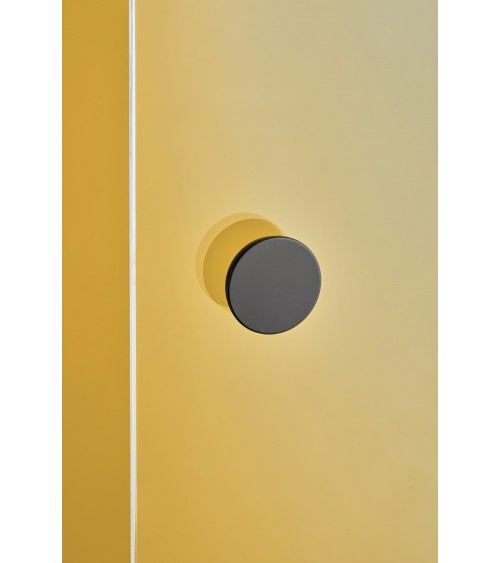 Poignée pour porte en verre