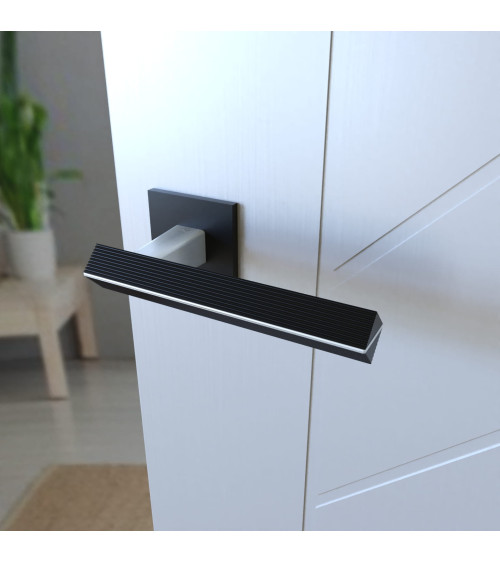 Poignée de porte en zamak CARRERA poignée design couleur 1