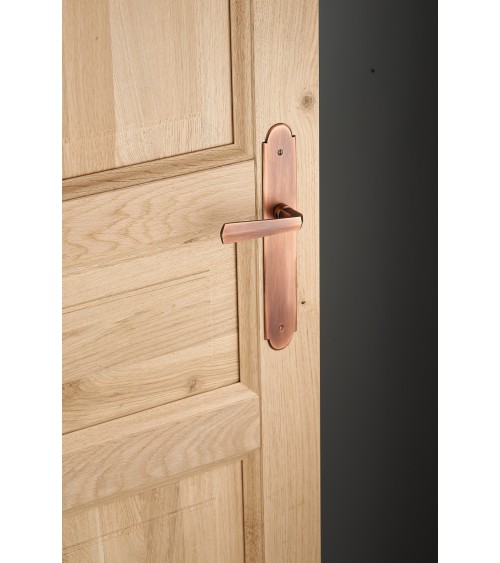 Poignée de porte moderne sur plaque Laiton - MADE IN FRANCE -  poignée design