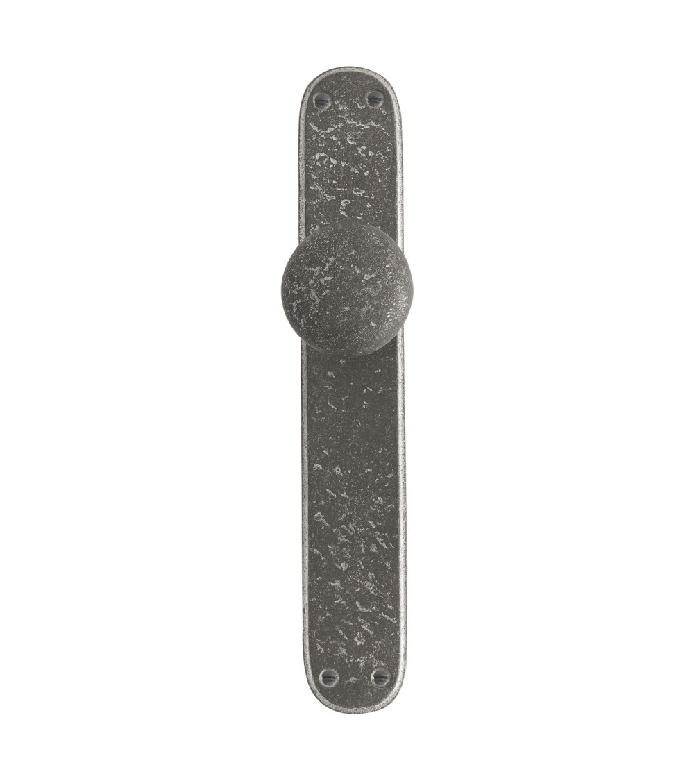 bouton de porte contemporain sur plaque de propreté