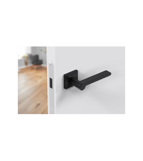 Poignée de porte noire Pandora quincaillerie design
