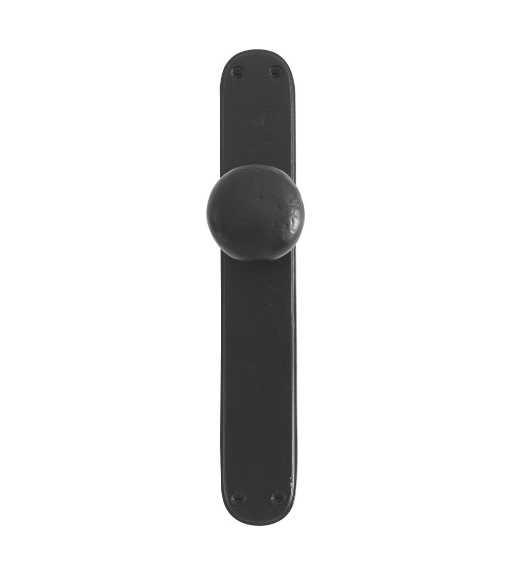 Bouton de porte chrome brossé sur plaque de propreté P40 -  poignée design