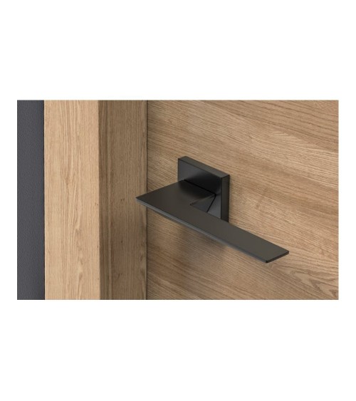 Poignée de porte moderne Blade poignée design