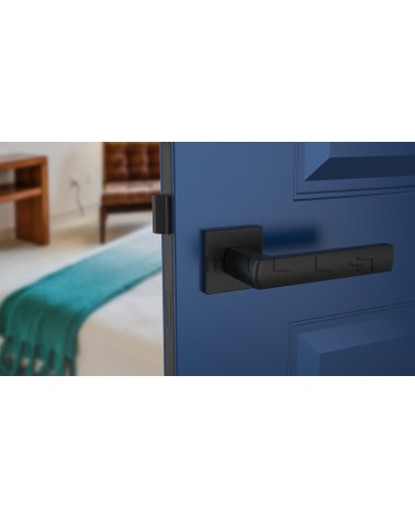 Poignée de porte HOSTA quincaillerie design couleur 1 vue de face montée sur une porte