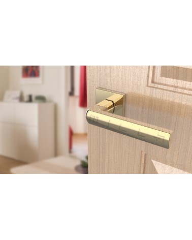 Poignée de porte HOSTA quincaillerie design couleur 3 vue inclinée montée sur une porte