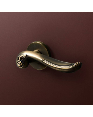 Poignée de Porte en Zamak pour une esthétique durable - Modèle ERIS